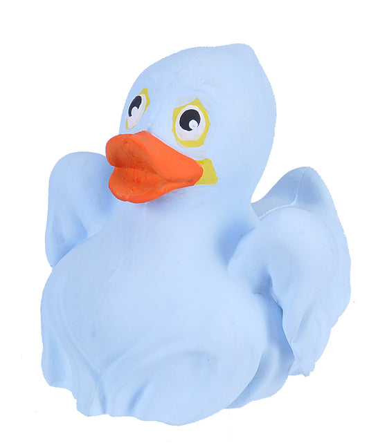 Ghost duck