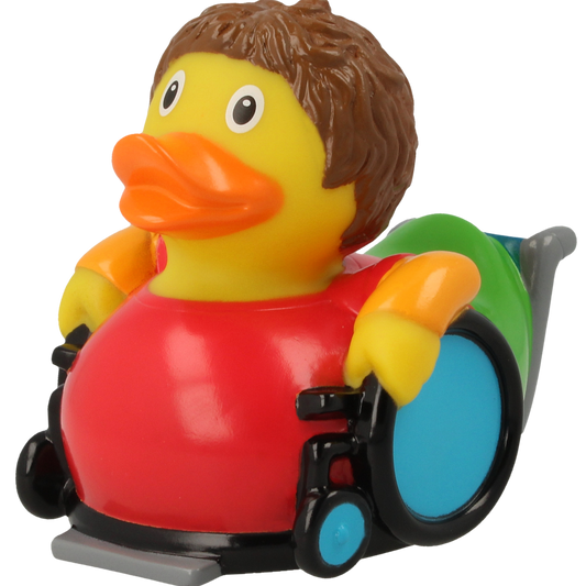 Canard Fauteuil Roulant