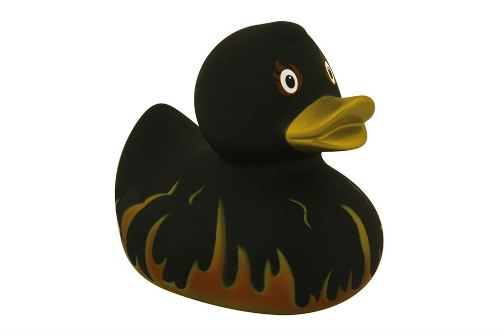 Duck flames