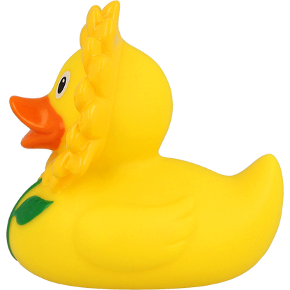 Canard Tournesol