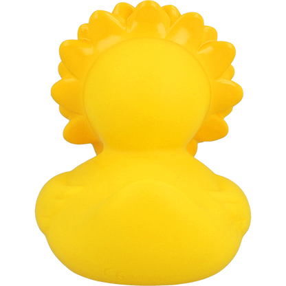 Canard Tournesol