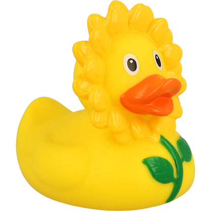 Canard Tournesol