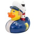 Vuurtorenwachter Eend