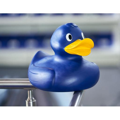 XXL Blauwe Zwembad Eend