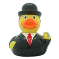 Gentleman duck