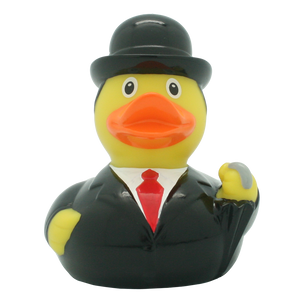 Gentleman duck