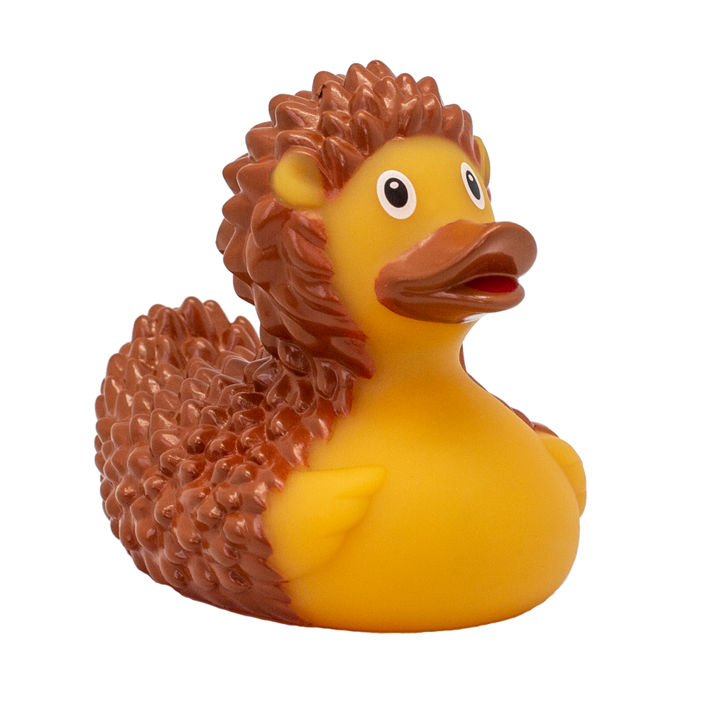 Egel Eend
