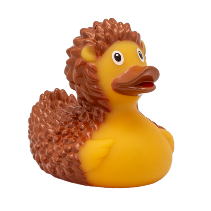 Hedgehog duck