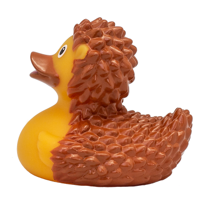 Hedgehog duck