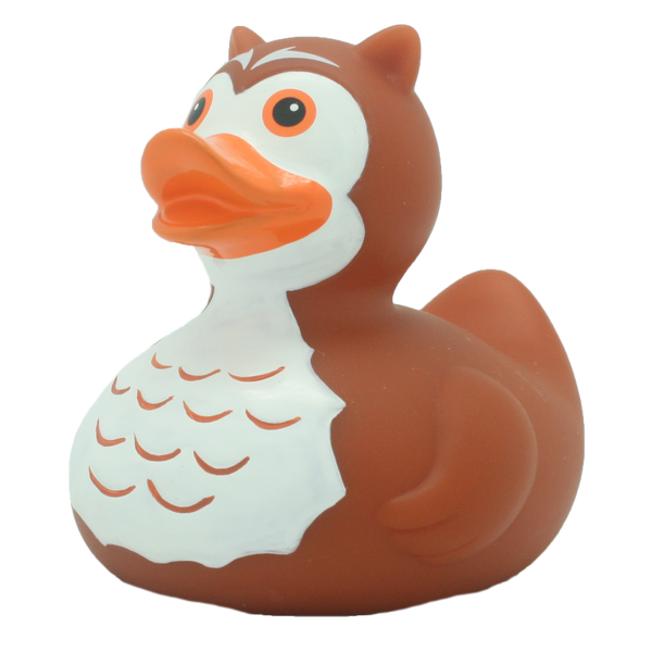 Owl duck