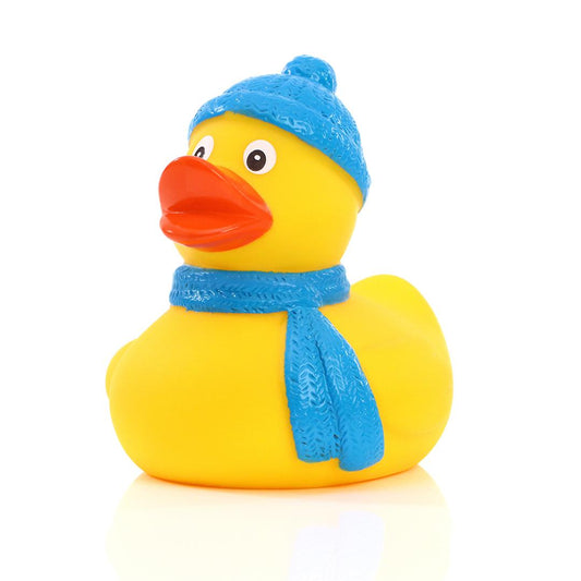 Canard Hiver