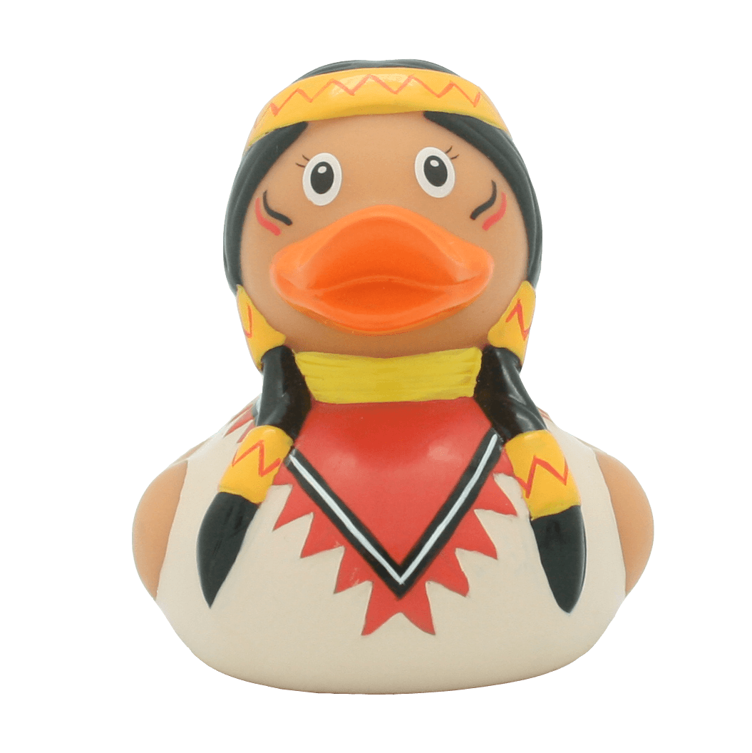 Amerindian duck