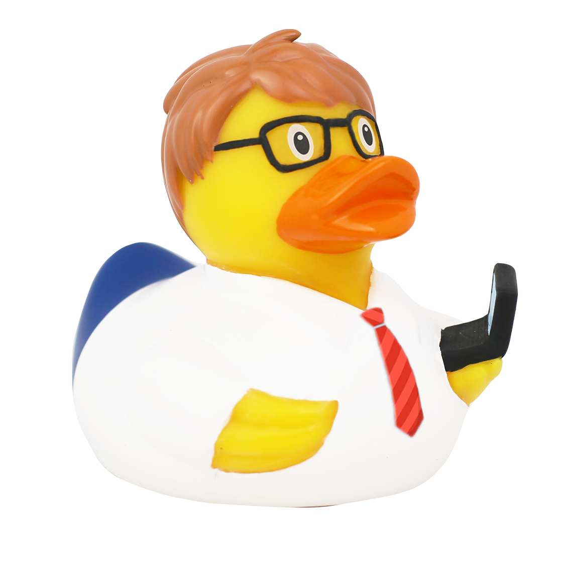 Canard Ingénieur Informaticien