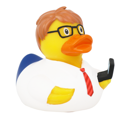 Canard Ingénieur Informaticien