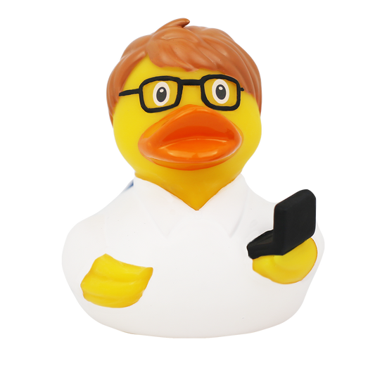 Canard Ingénieur Informaticien