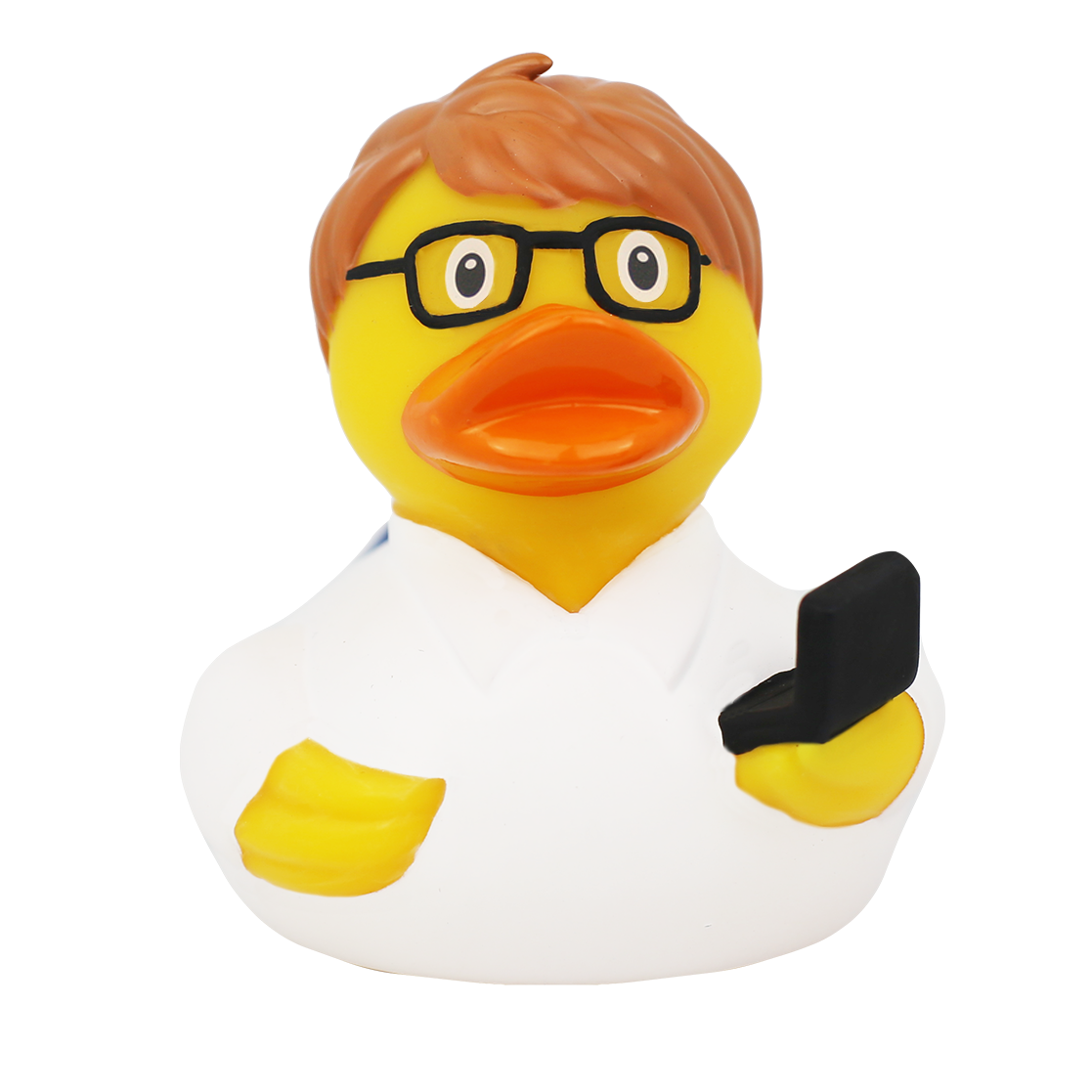 Canard Ingénieur Informaticien