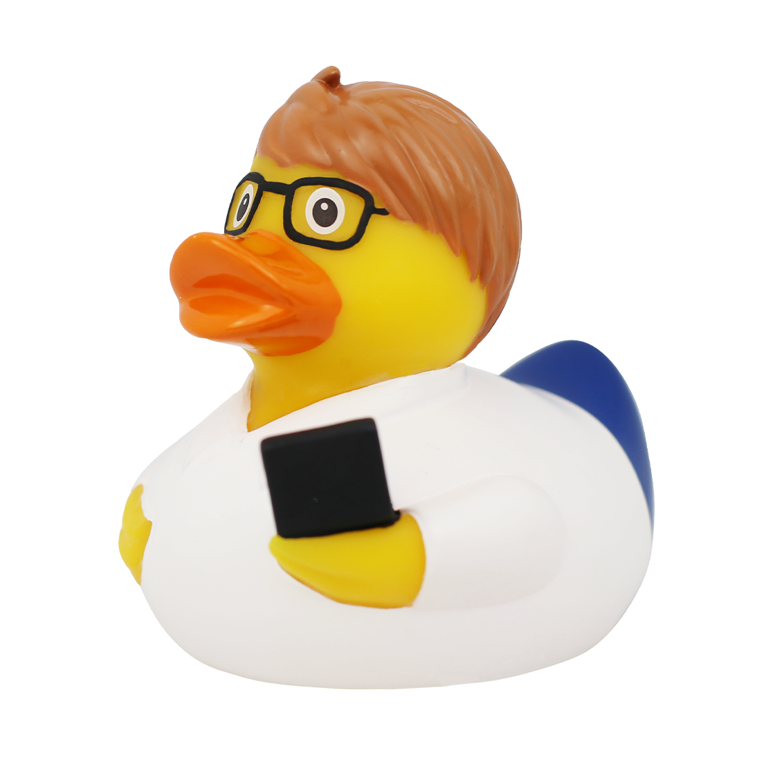 Canard Ingénieur Informaticien