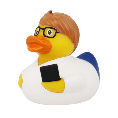 Canard Ingénieur Informaticien