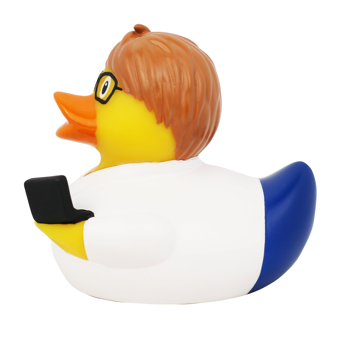 Canard Ingénieur Informaticien