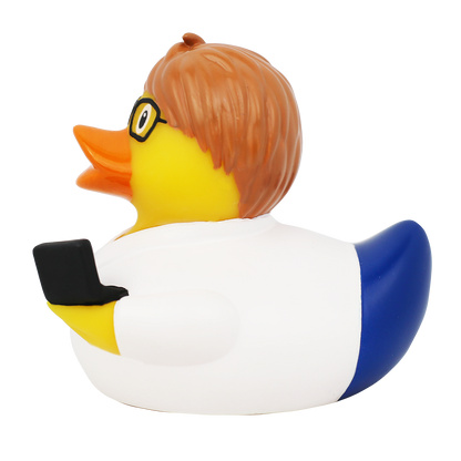 Canard Ingénieur Informaticien