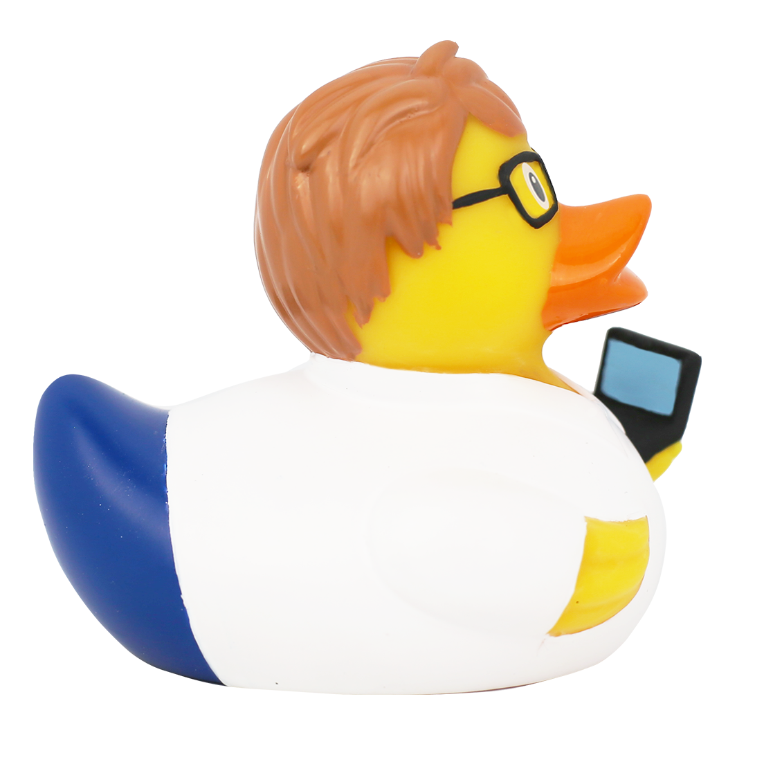 Canard Ingénieur Informaticien