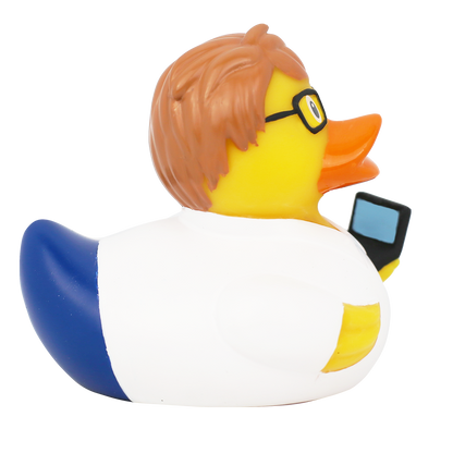 Canard Ingénieur Informaticien