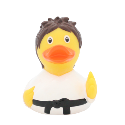 canard-kung-fu-lilalu