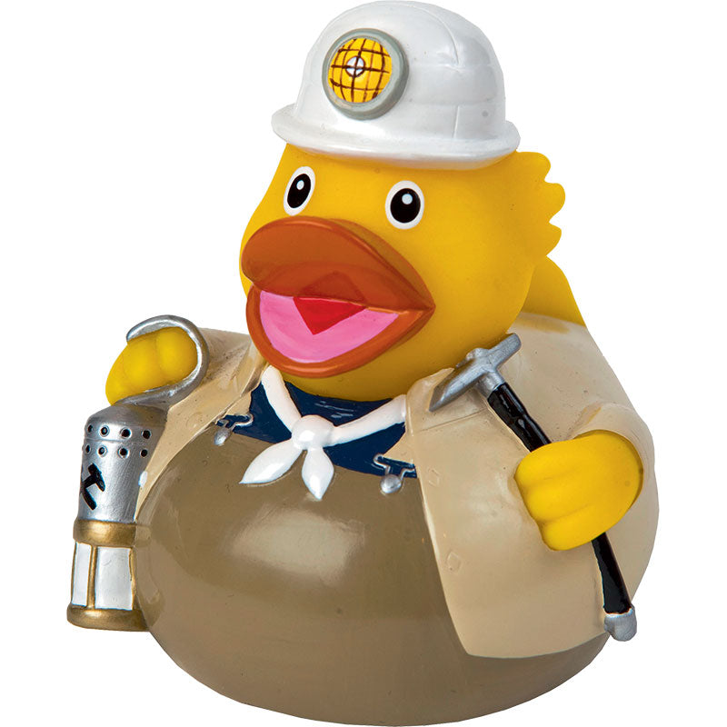 Ente Mineur