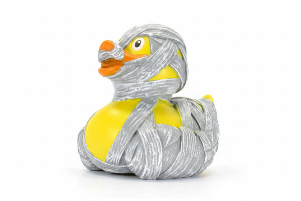 Duck mummy