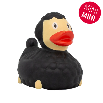 Mini Canard Mouton Noir