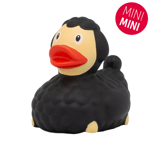 Mini Canard Mouton Noir