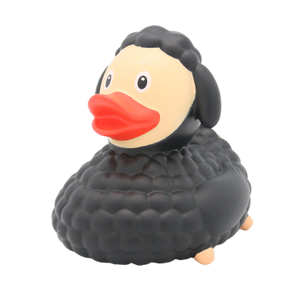 Canard Mouton Noir