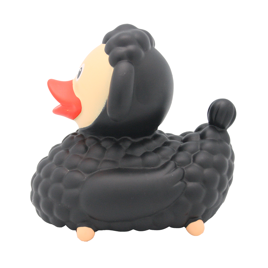 Canard Mouton Noir