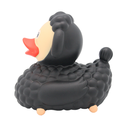 Canard Mouton Noir