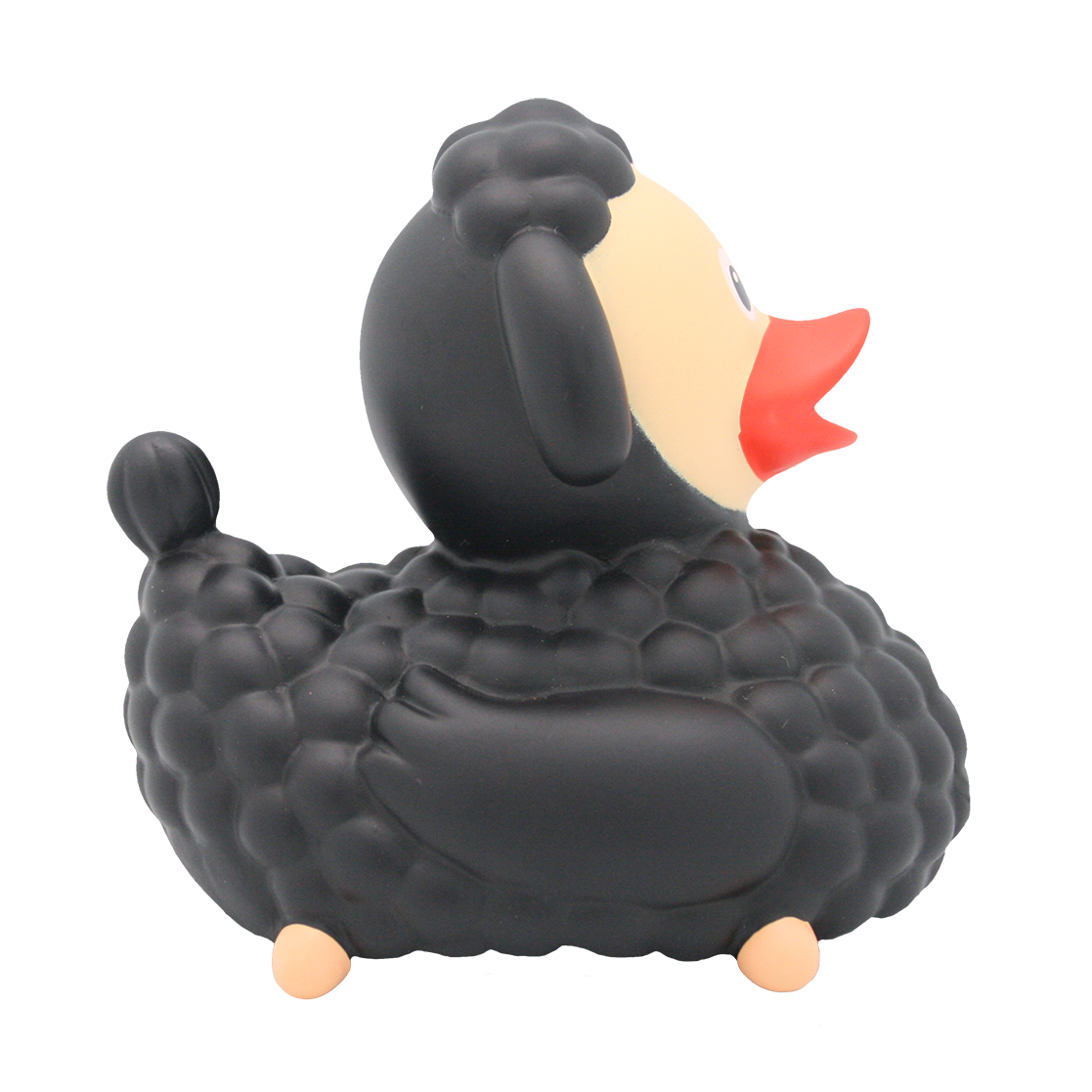 Canard Mouton Noir