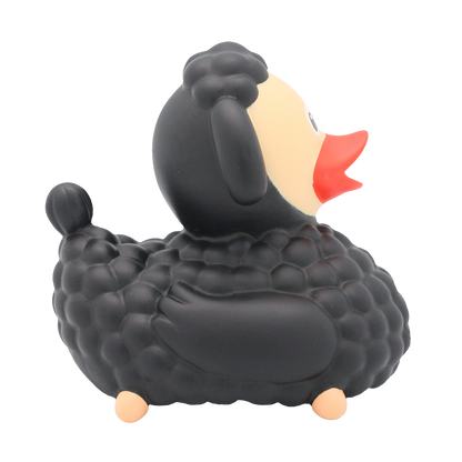 Canard Mouton Noir