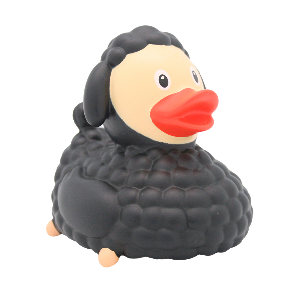 Black sheep duck