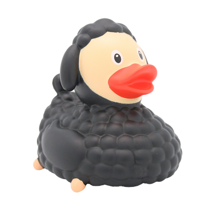 Canard Mouton Noir