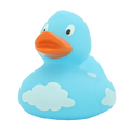 Ente Wolken