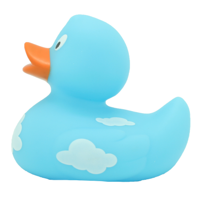 Canard Nuages