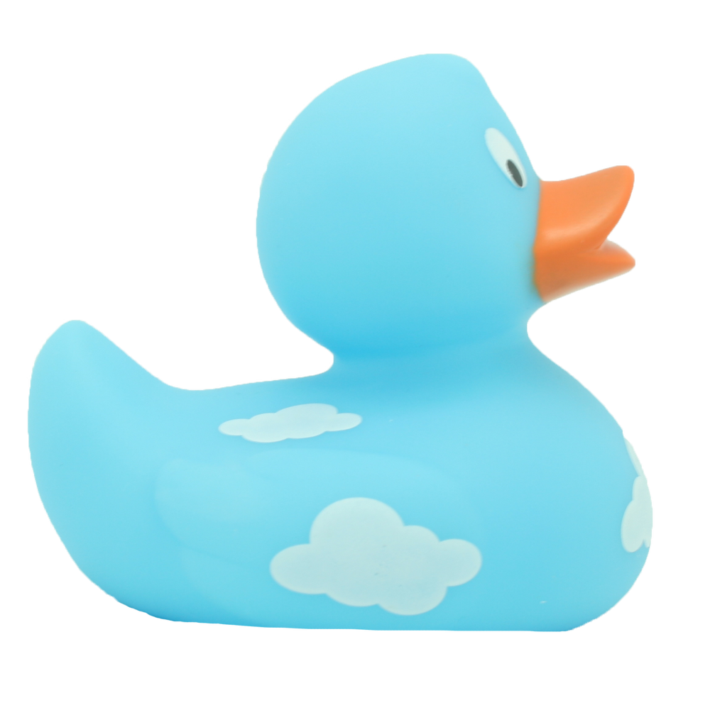 Ente Wolken