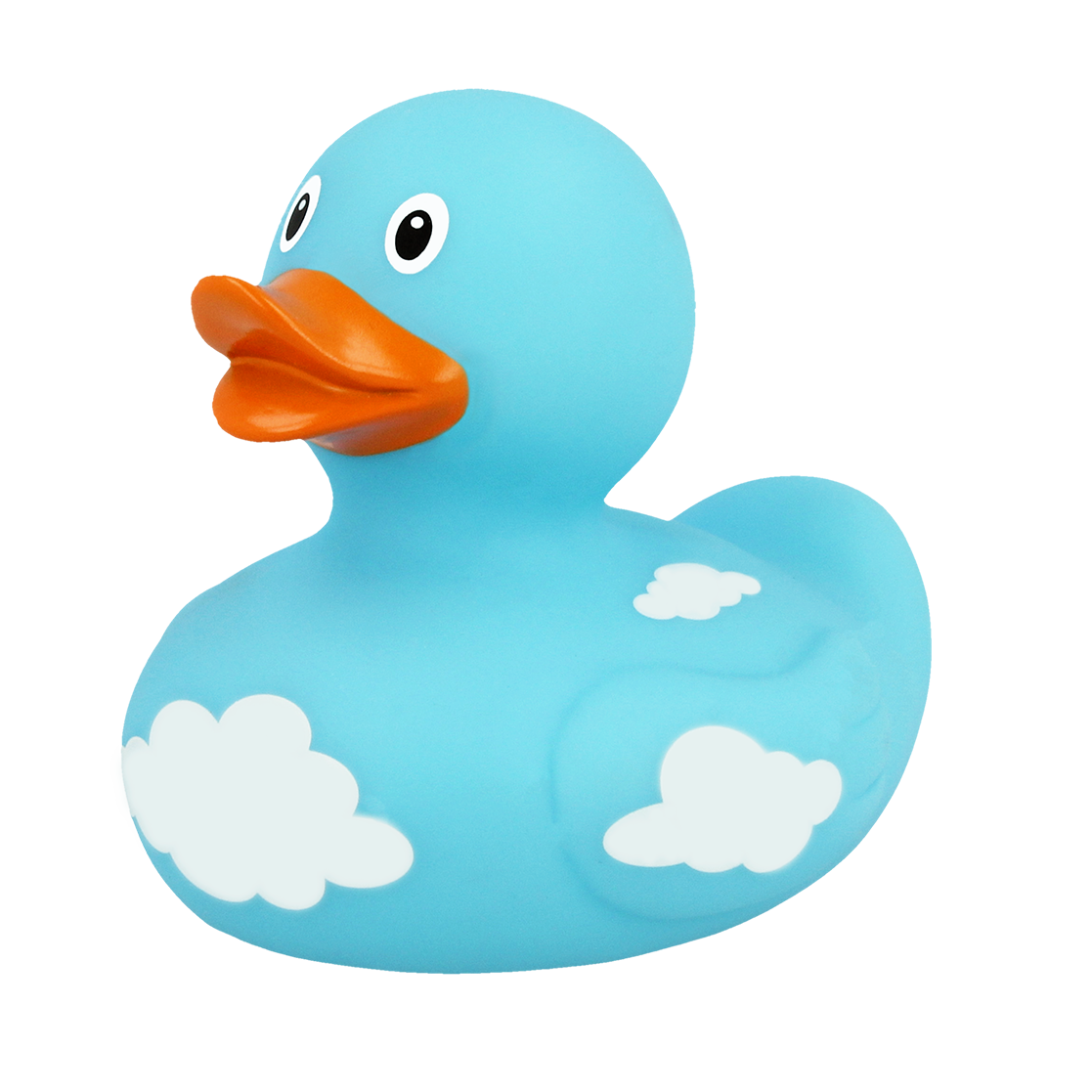 Canard Nuages