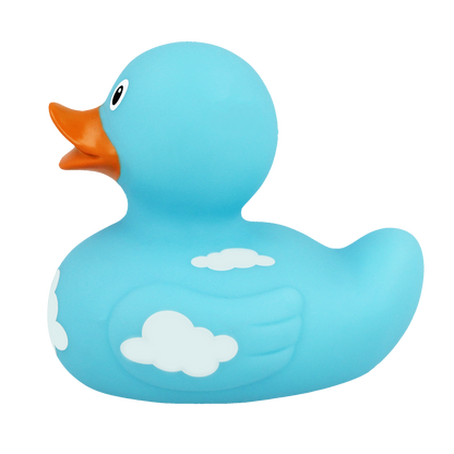 Canard Nuages