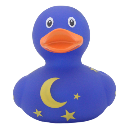 Canard Nuit Étoilée