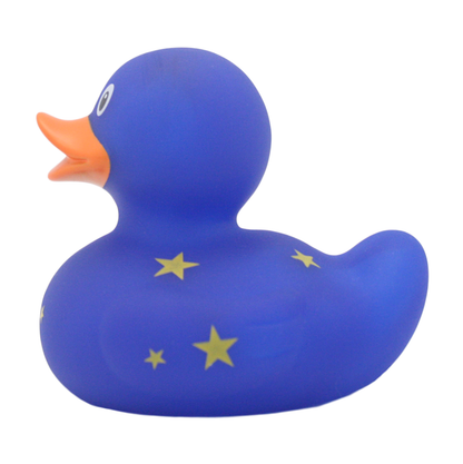 Canard Nuit Étoilée