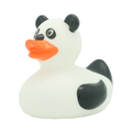 Panda-eend