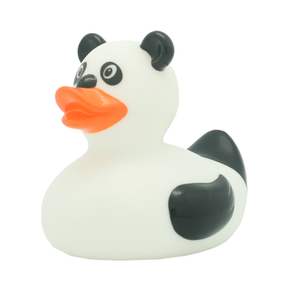 Canard Panda