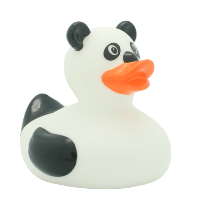 Canard Panda