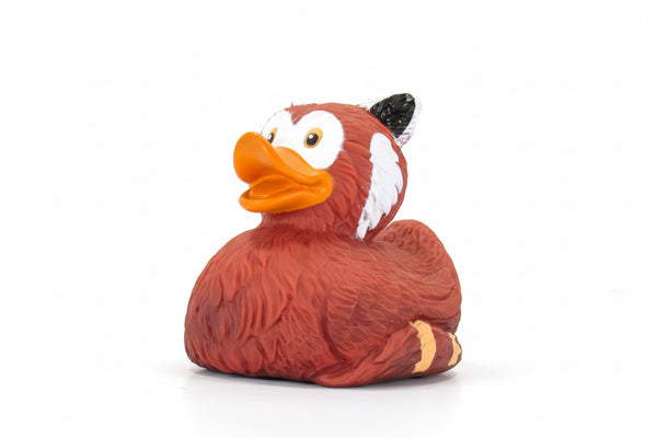 Red panda duck
