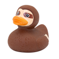 Canard Paresseux